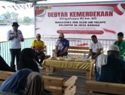 KKN XLVIII UIN Palopo dan Karang Taruna Desa Baruga Gelar Pameran UMKM dan Lomba Kemerdekaan