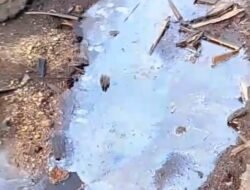 LHI Sindir PT Vale Soal Kebocoran Pipa: “Situasi Adem, Tapi Minyak Masih Mengalir di Sungai