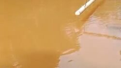 Kondisi Sungai Ussu Memburuk, Ancaman Nyata bagi Penghidupan Nelayan